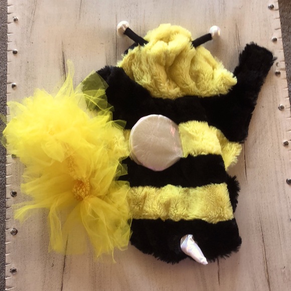 Dog Bee Costume with extra yellow Tutu π